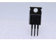 transistor mosfet canal n IRF840