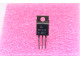 TIP120 transistor npn darlington de puissance