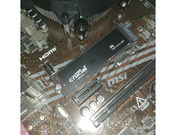 CT1000P3SSD8 ssd nvme M2 2280 1To