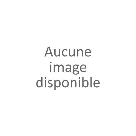 timer NE555P traversant