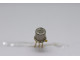 transistor npn 2N706A