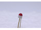 mini led rouge